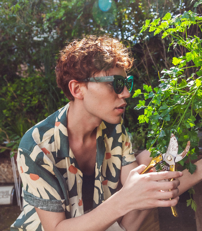 Sw sunglasses 2025